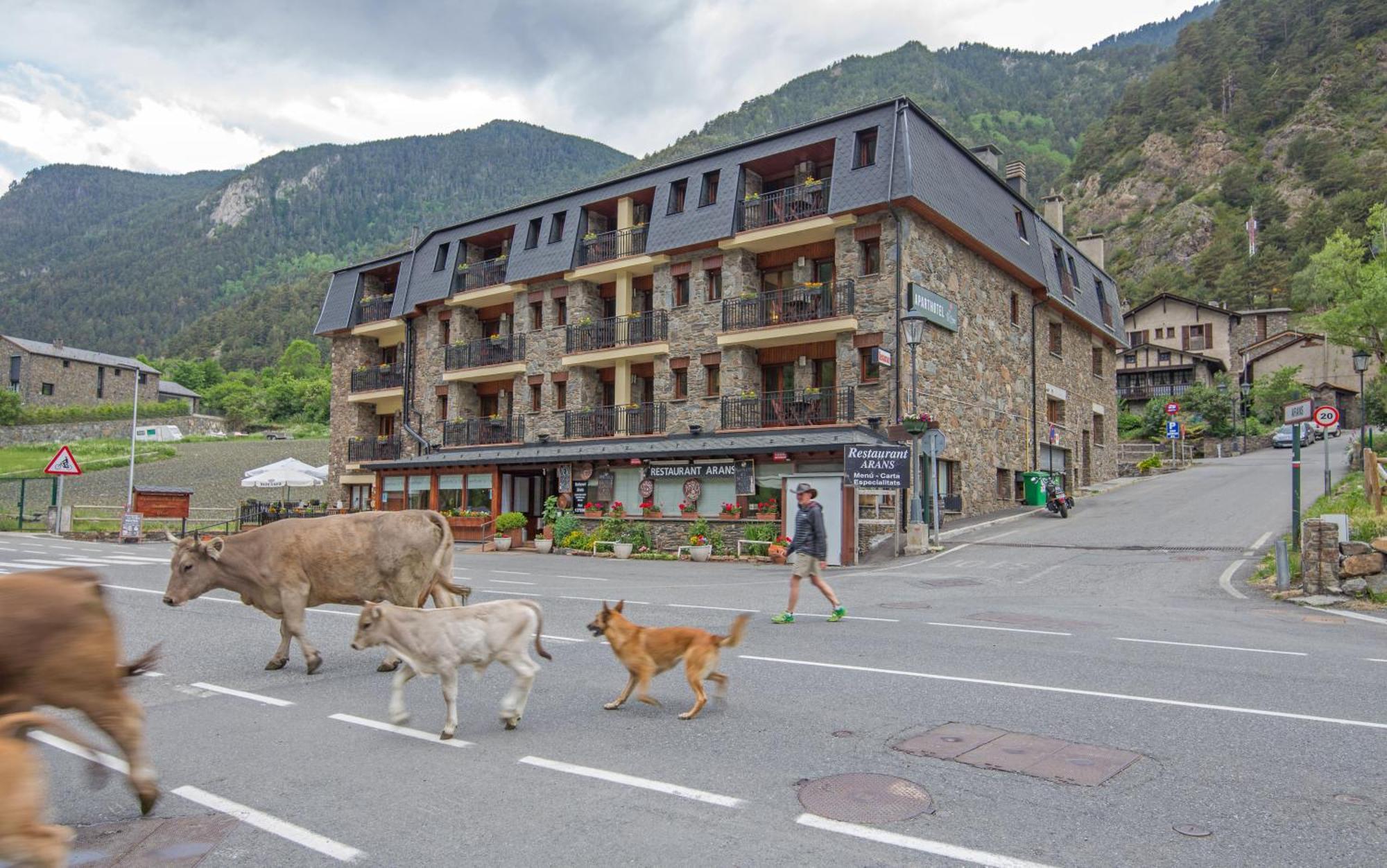 Pierre & Vacances Aparthotel La Tulipa Ordino Eksteriør billede